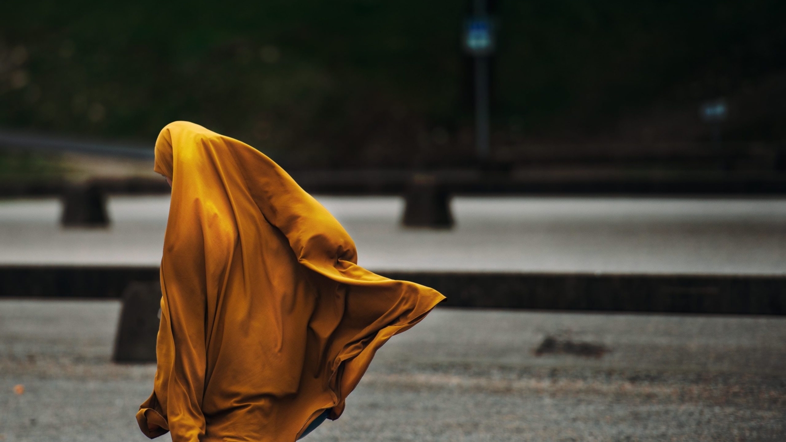 pexels-janko-ferlic-590491